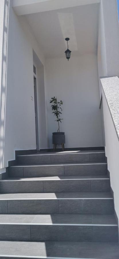 Apartments Angeline Rovinjsko Selo Ngoại thất bức ảnh